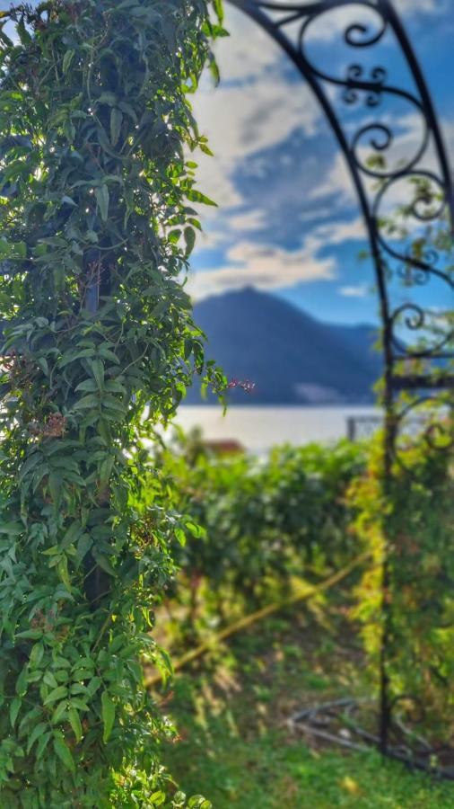 Casa Vita Nova Perast Eksteriør billede