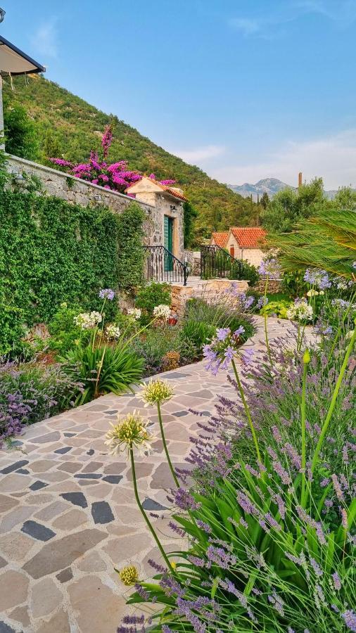 Casa Vita Nova Perast Eksteriør billede